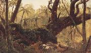 Frederic E.Church Rain Forest,jamaica,West Indies oil painting on canvas
